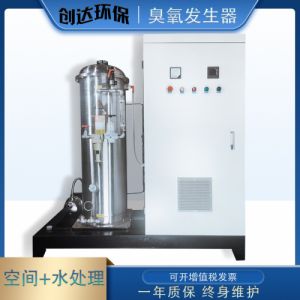 500g工业级臭氧发生器高浓度污水处理废气处理脱色除臭味臭氧机