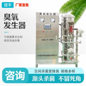 大型氧气型臭氧发生器  水厂预处理氧化设备 冠宇环保 可定制厂家直销