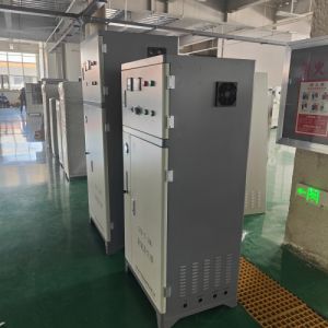 海产养殖水体循环消杀 除藻灭菌 鑫冠宇 臭氧发生器 支持定制 源头直发